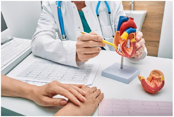Consultation for Heart Disease
